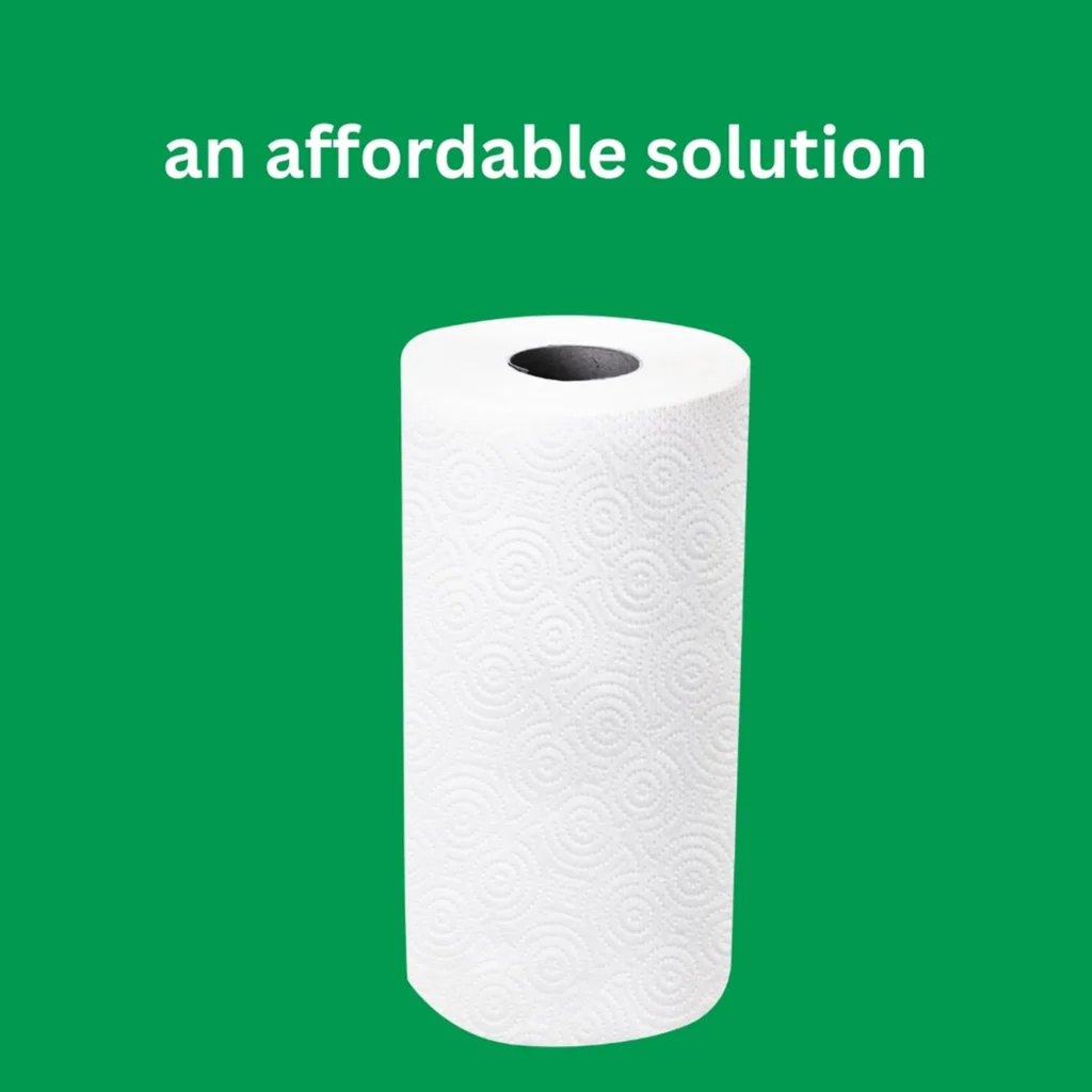 Affordable Solution